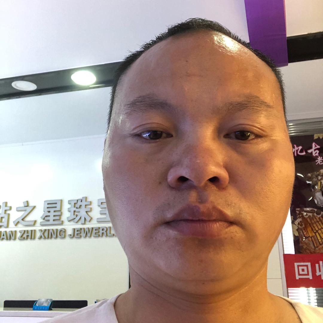 懒猫猎鲫
