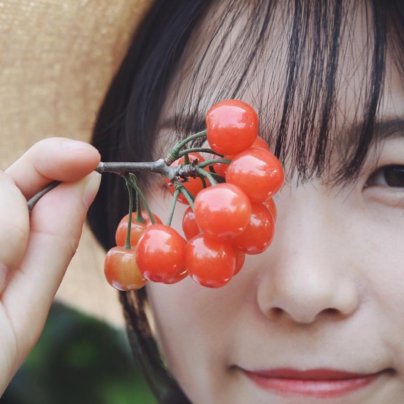 惠多美