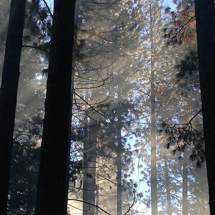 摩羯座得邢先生