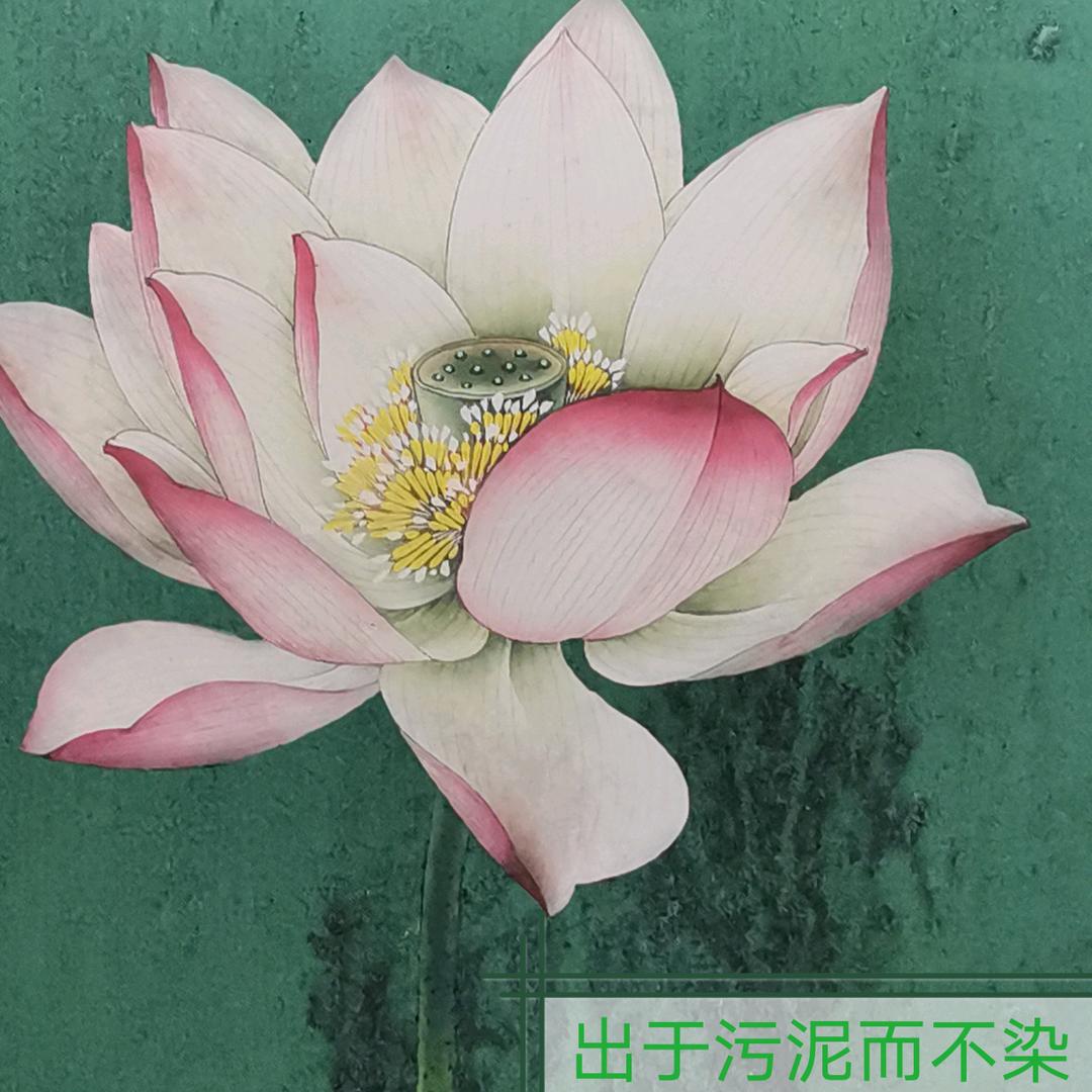 @夏荷