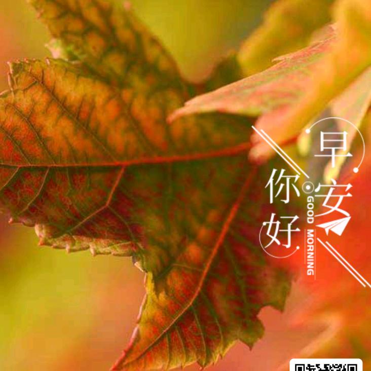 沙漠中旳一颗草