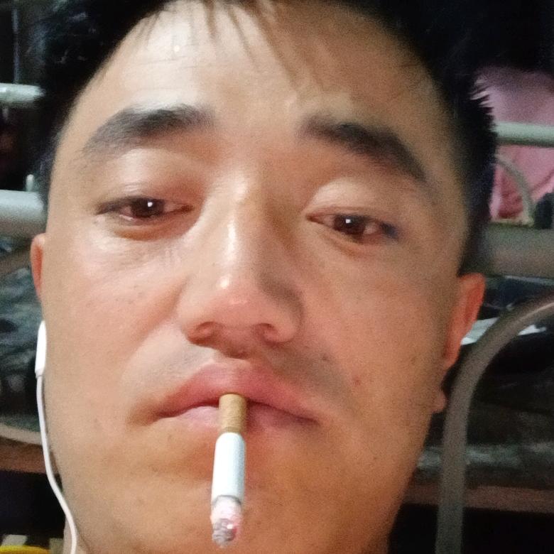 路上飞