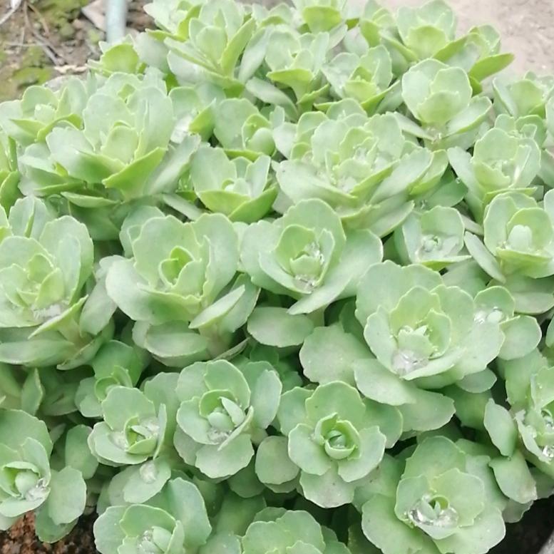 永不言弃😀