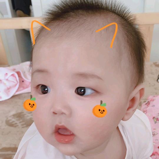 西门塔尔
