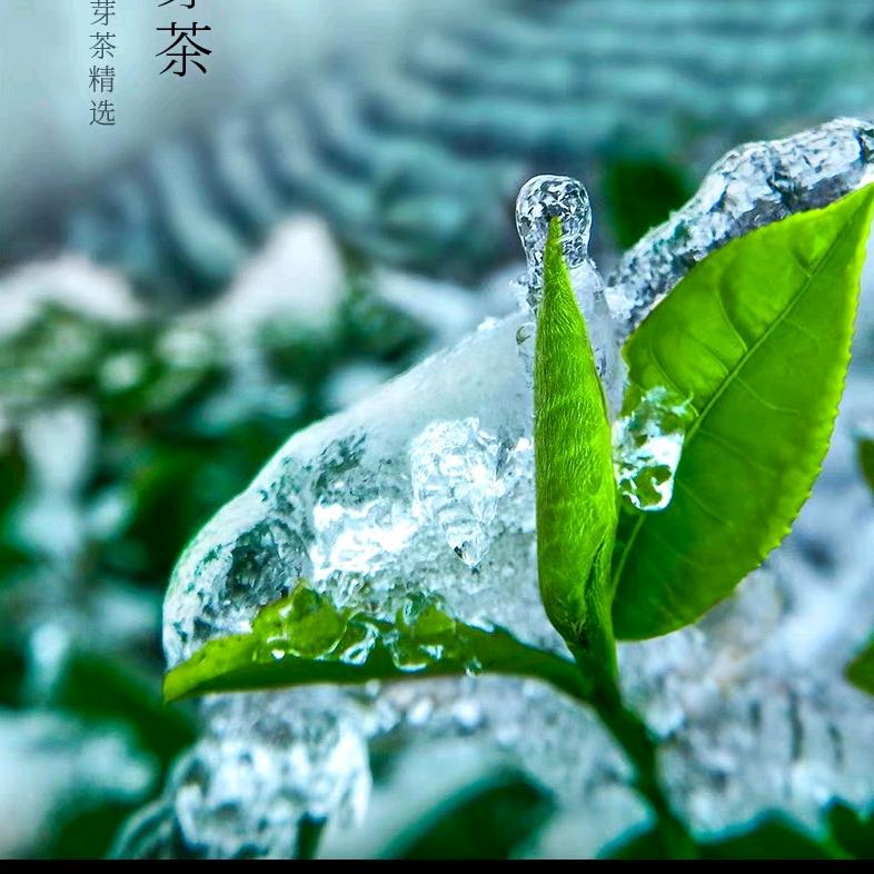 竹叶青兴隆湖店