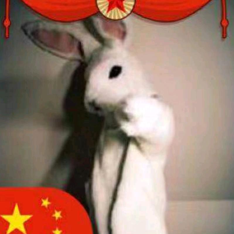 A-：全是套路