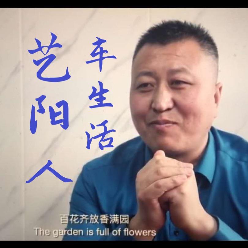 天津艺阳二手车
