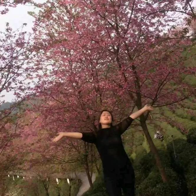 陈老五