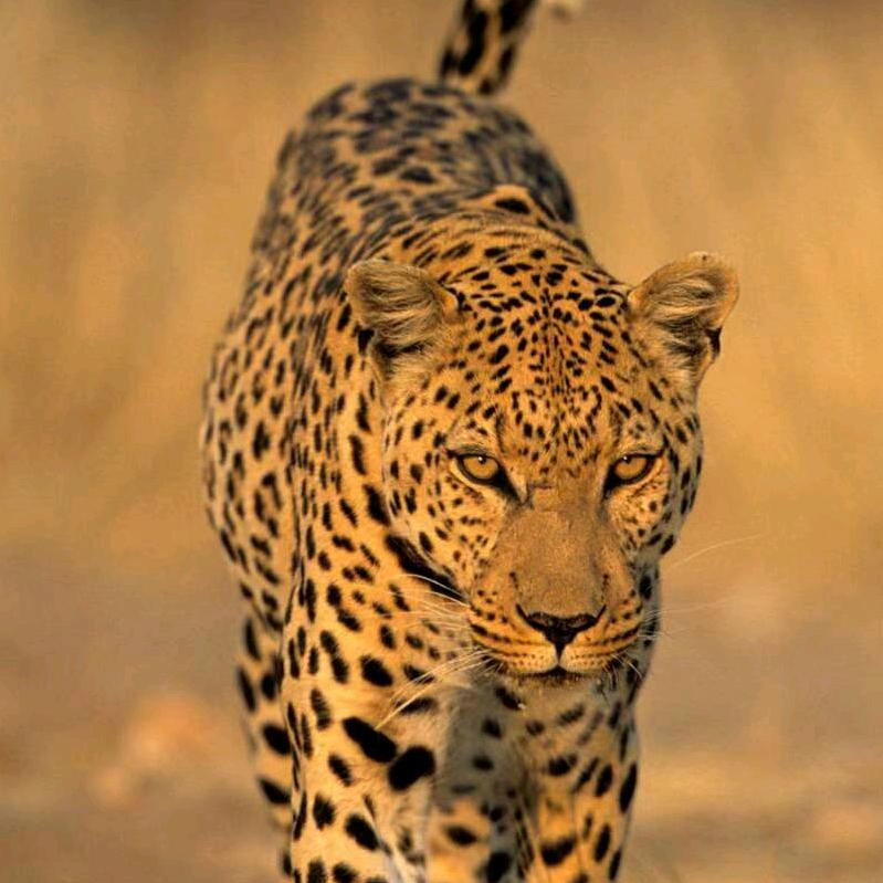 低调做人，高调做事