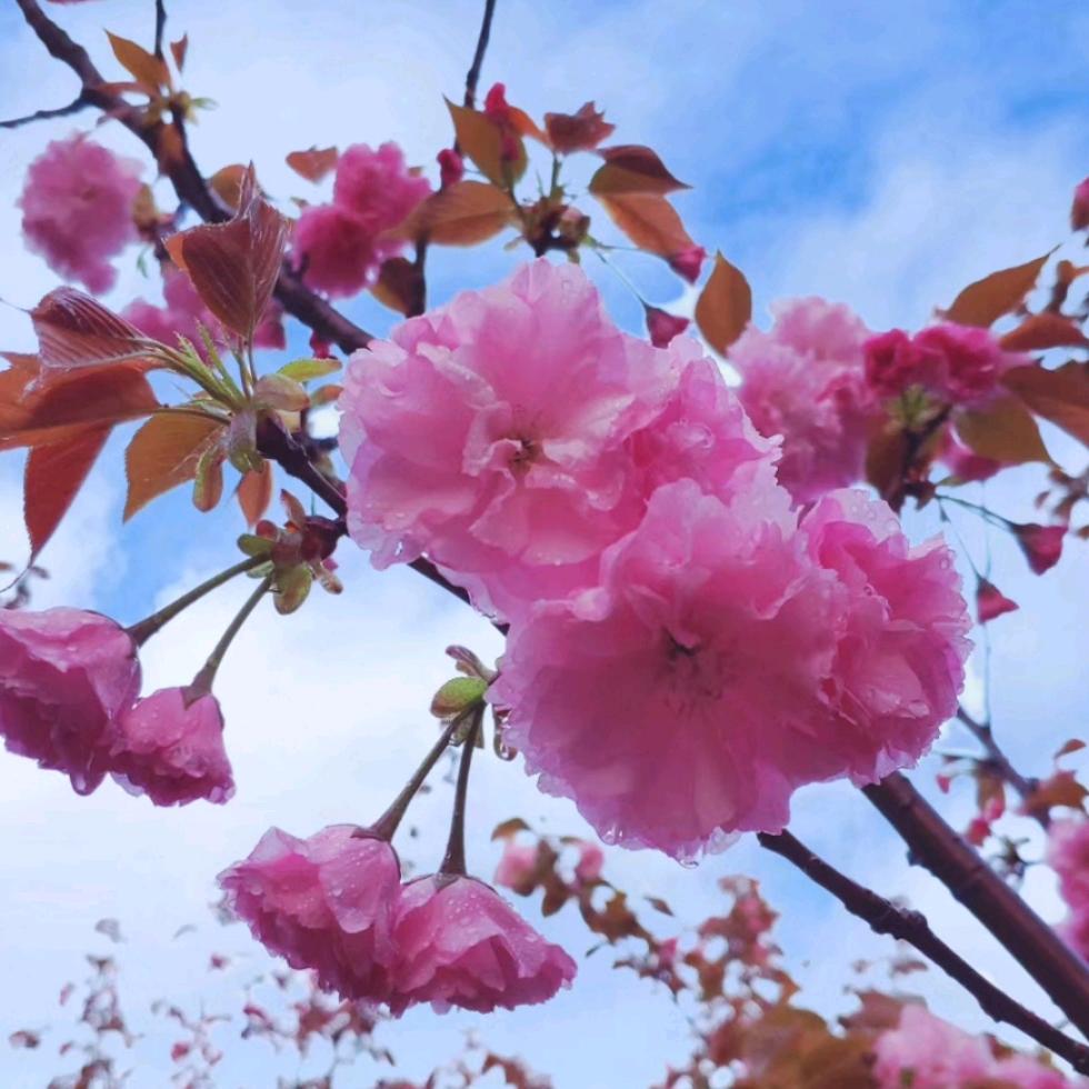 且行且珍惜