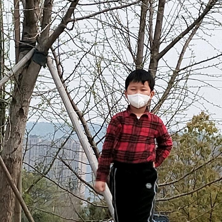 大陈