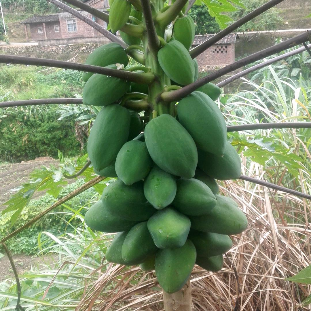 老帅哥