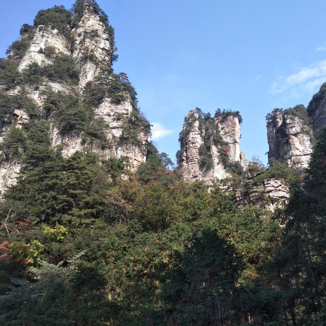 捡瓶子的