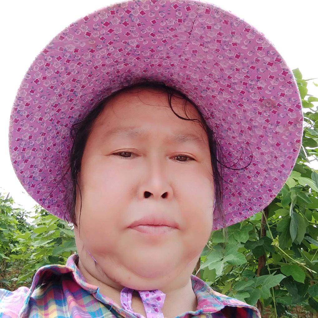 香香爱追剧