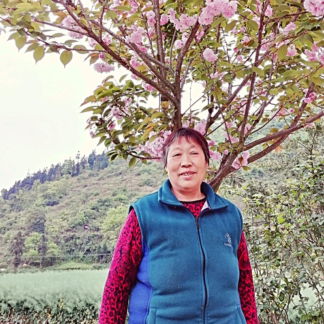 蒲大姐