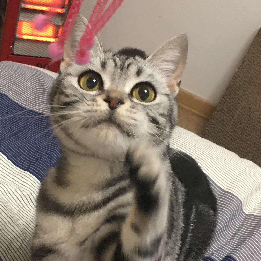 和Max背诗