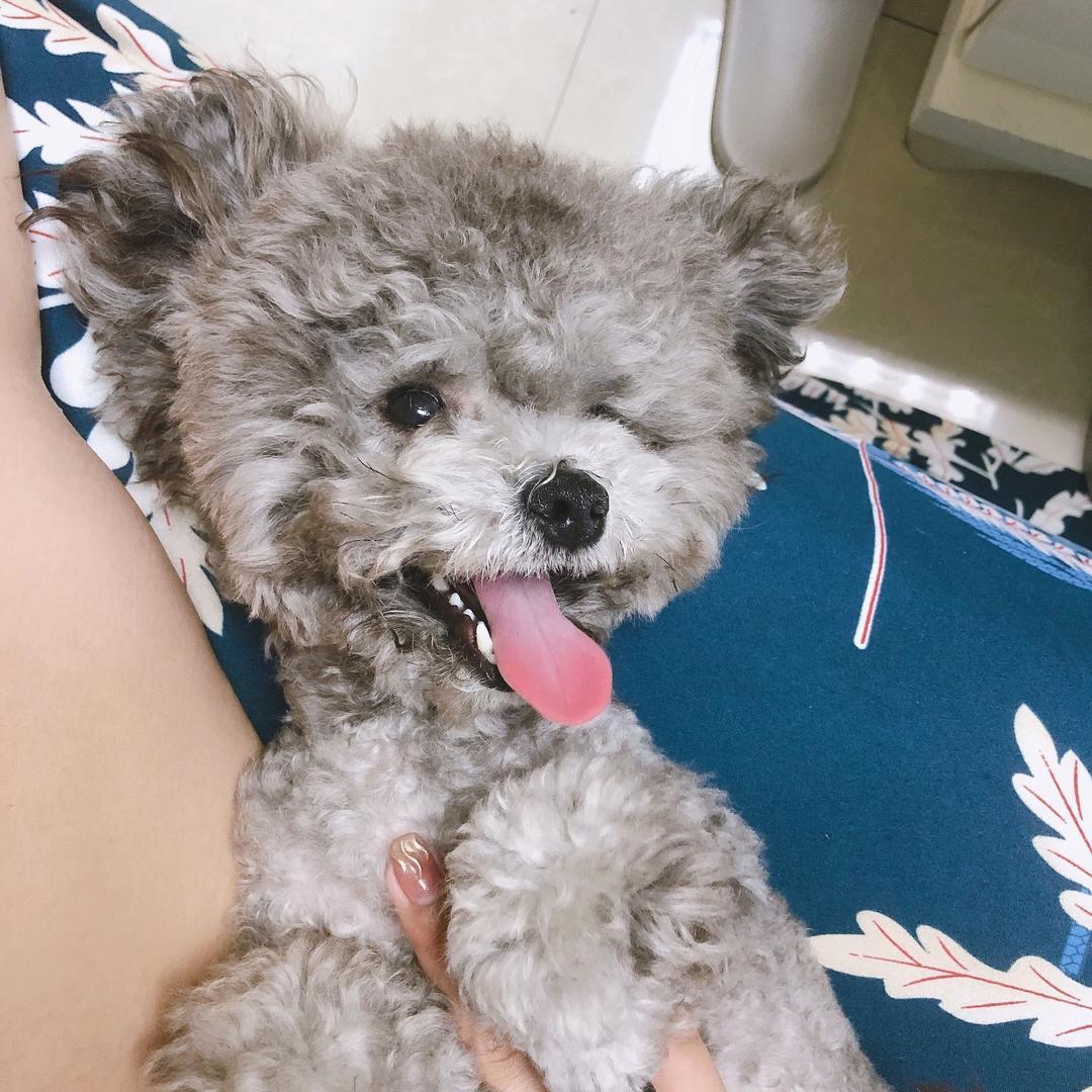鹤不知归