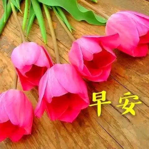 旭蓝