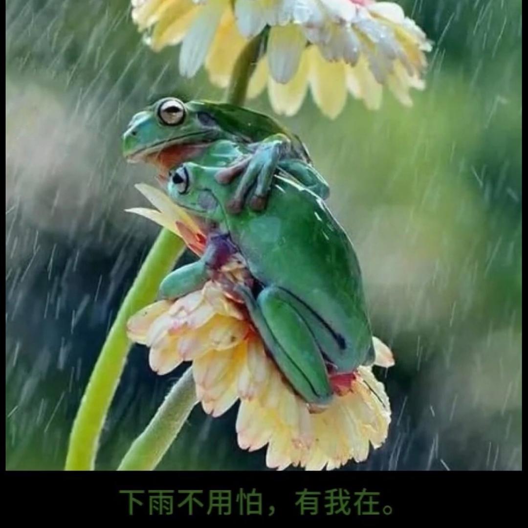 人生短暂 好好珍惜