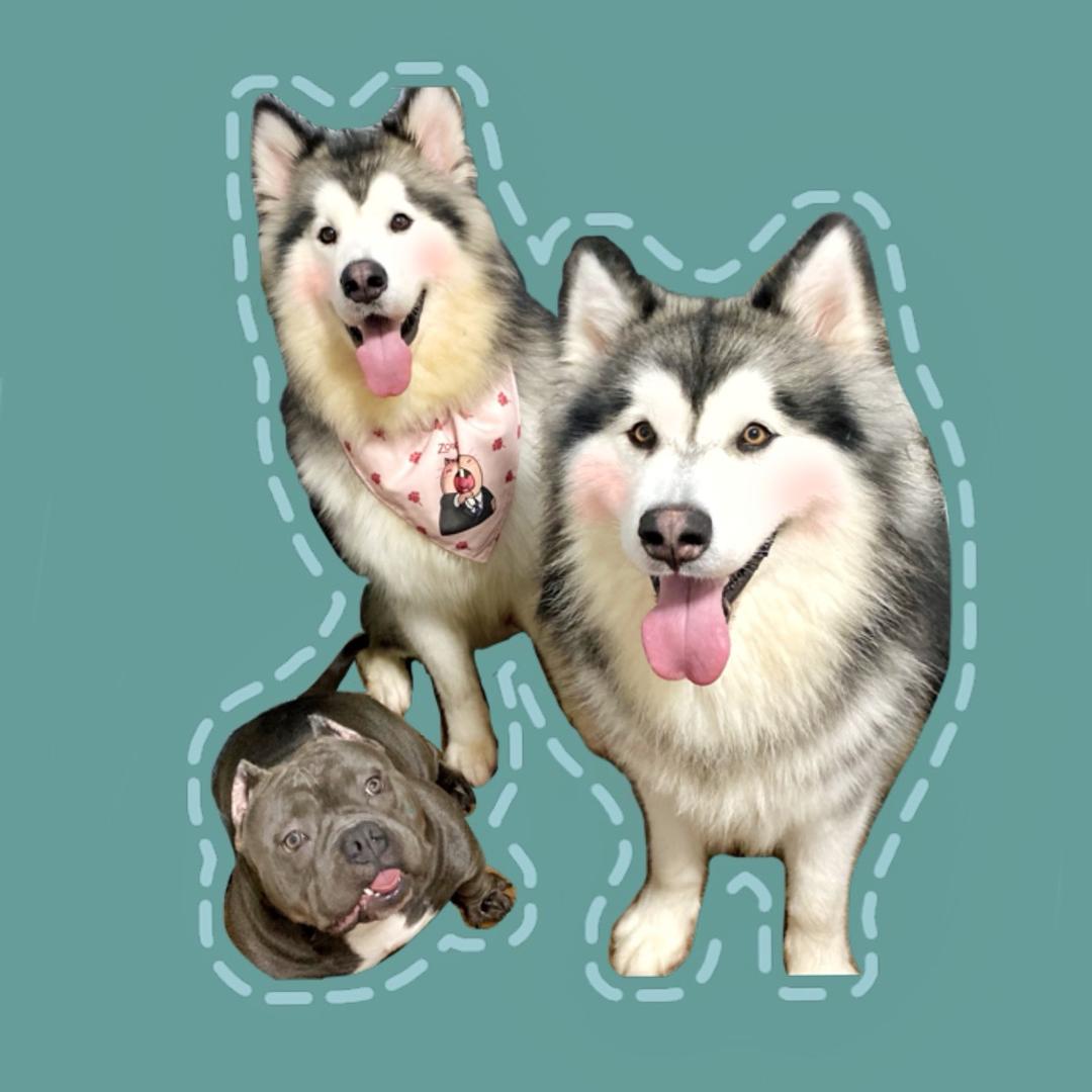 皮卡丘与渣·男们@抖音