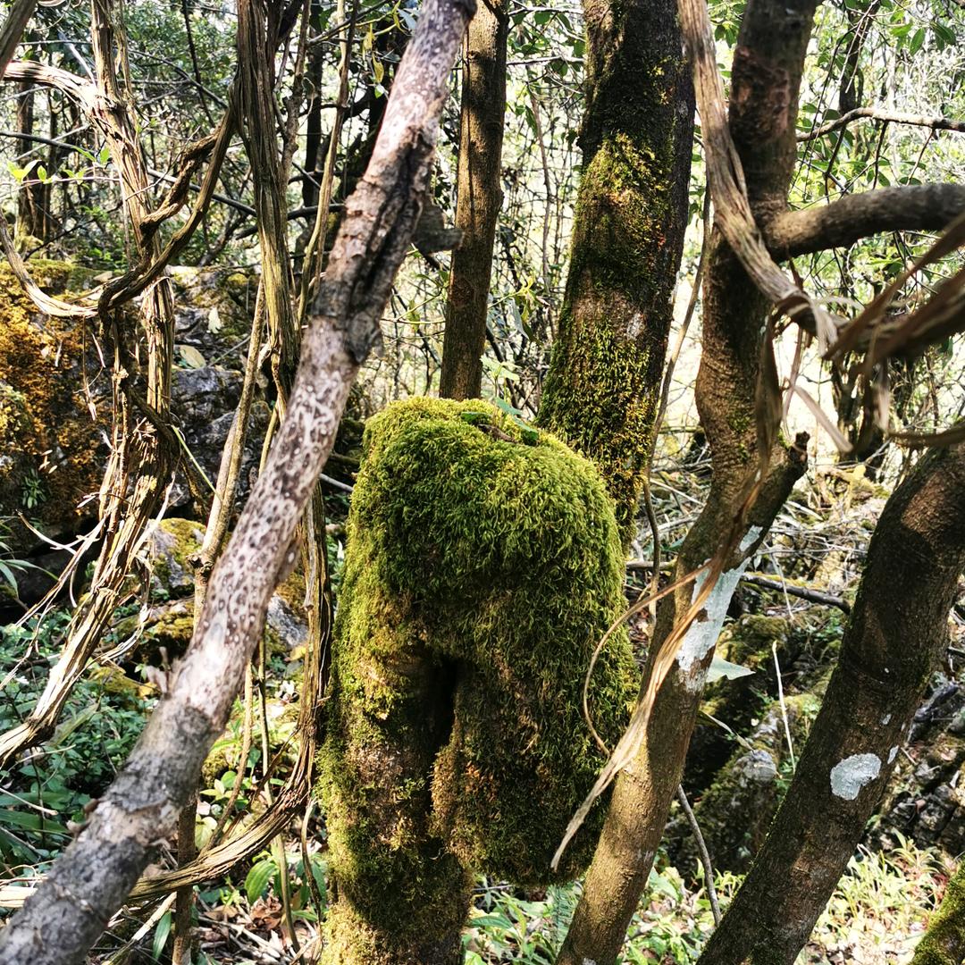 山高人为峰
