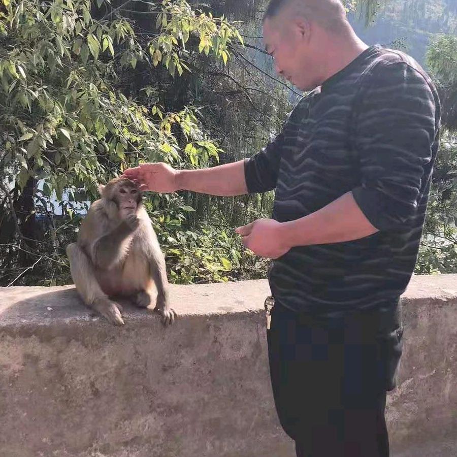 邓三哥