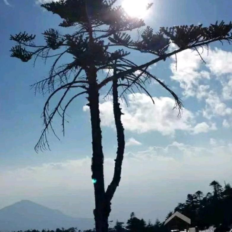 阿香面点