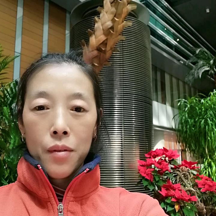 李彦连