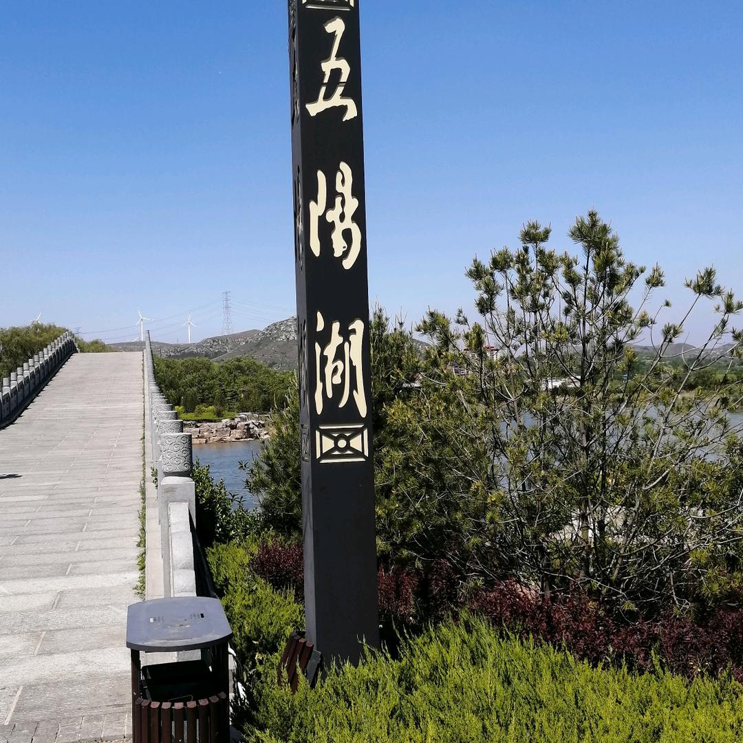 枫林