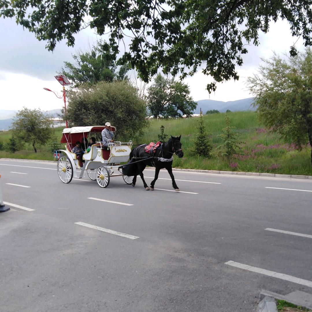 老有所乐
