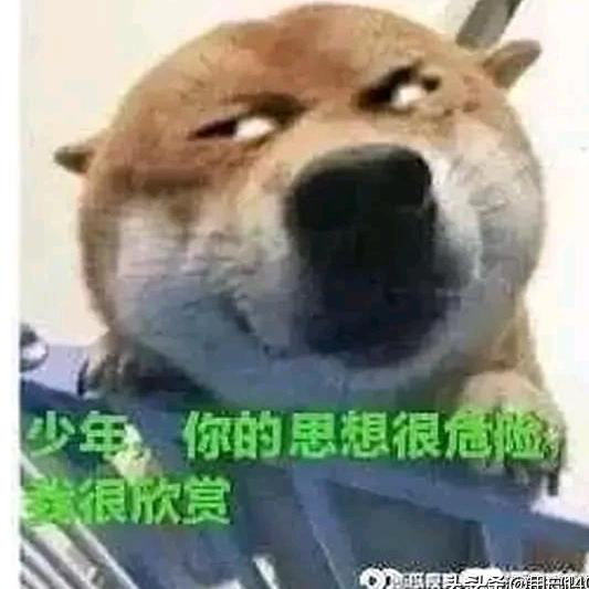 现实跟不上理想