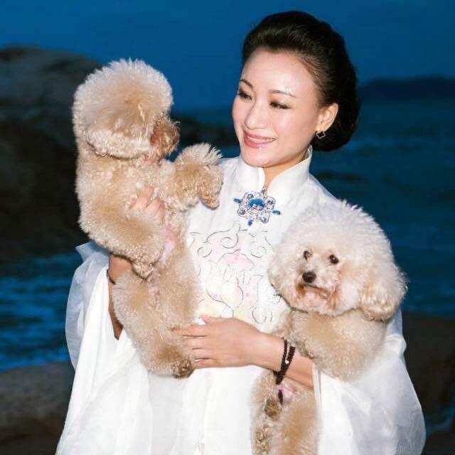 越剧王志萍🦋蝴蝶