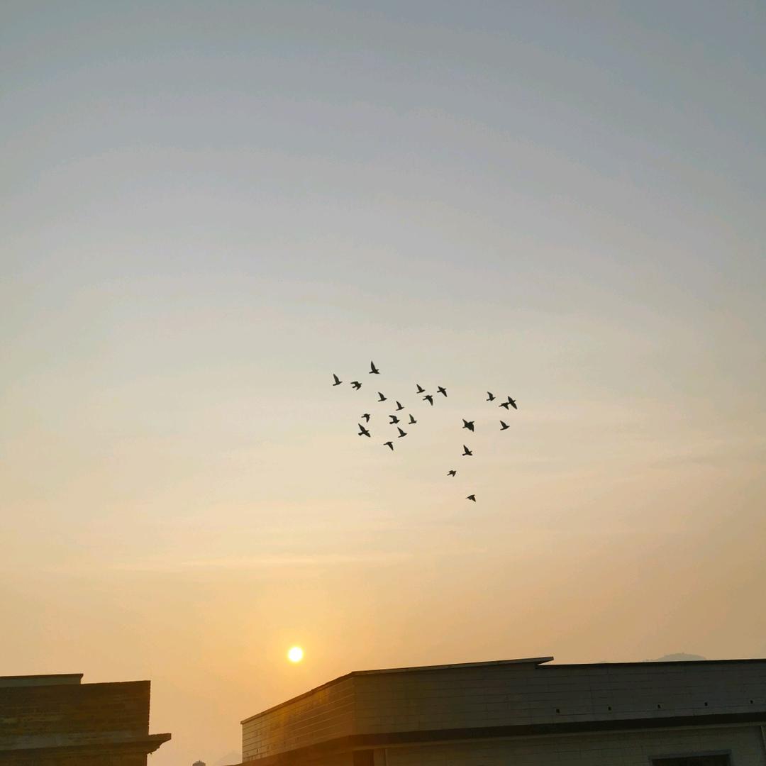 瑞翔鸽舍