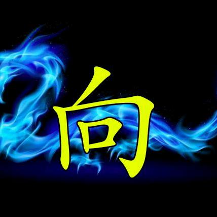 向光文