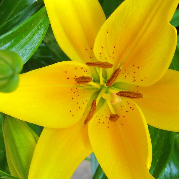 做朋友就的相信，