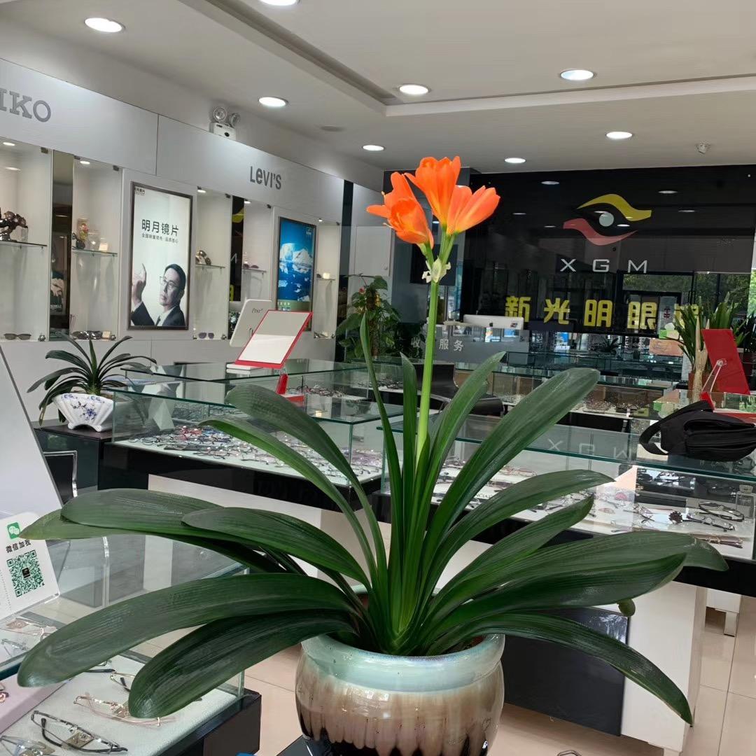 三姑娘(拒私聊合拍)