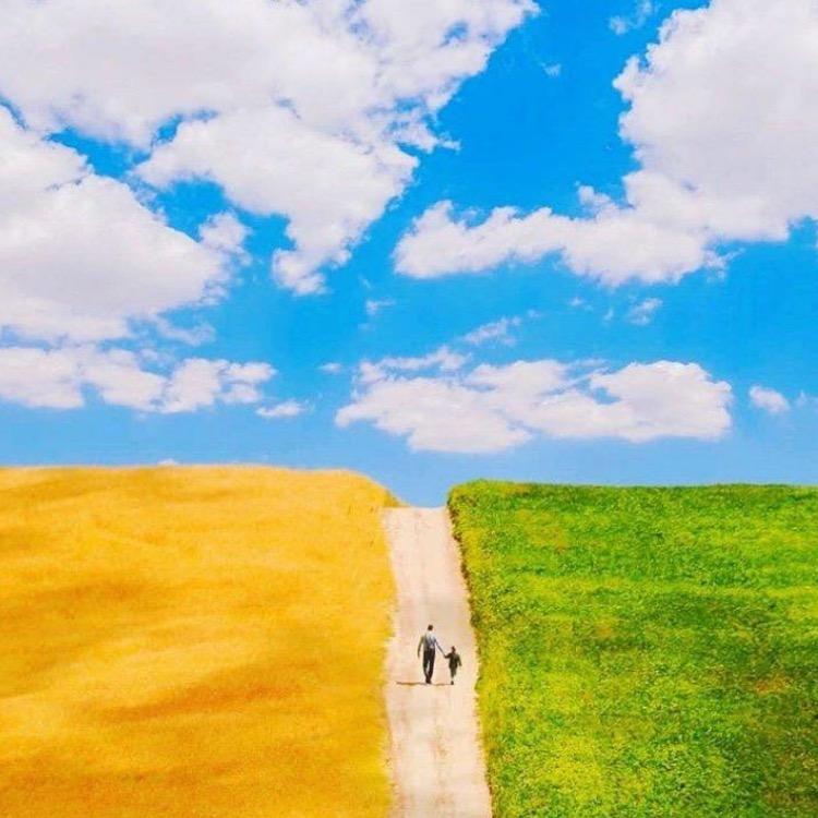 情感