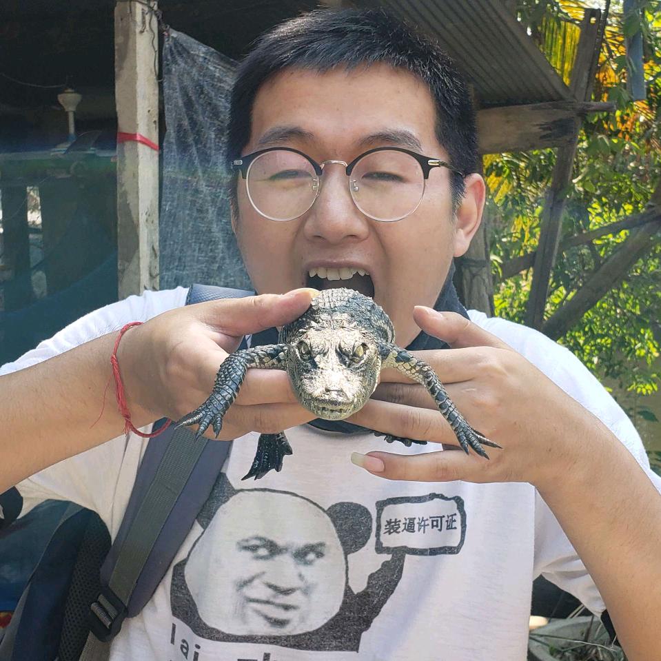 野导Teddy