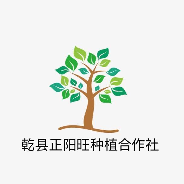 金农地果蔬