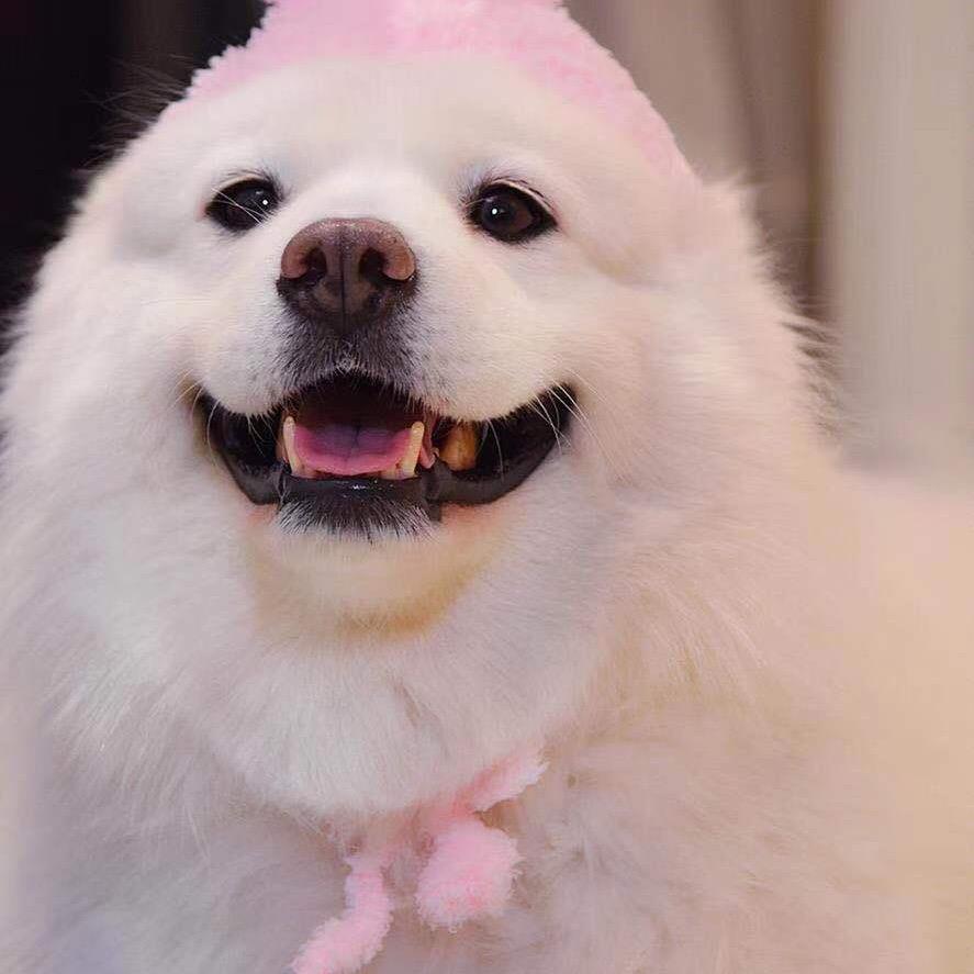 开心😃