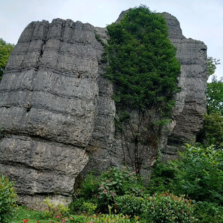 ，