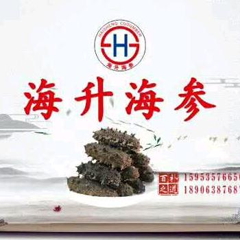 张连君