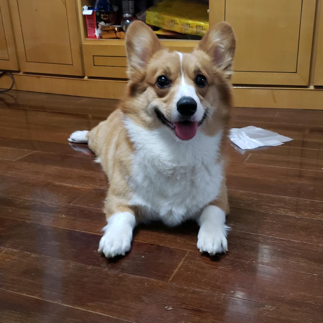 小荷才露尖尖角