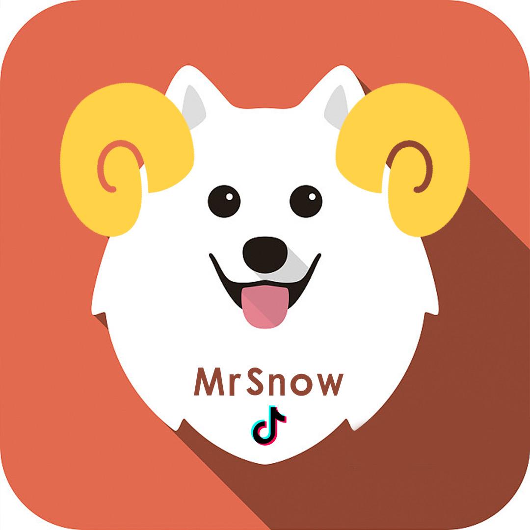 Mr Snow