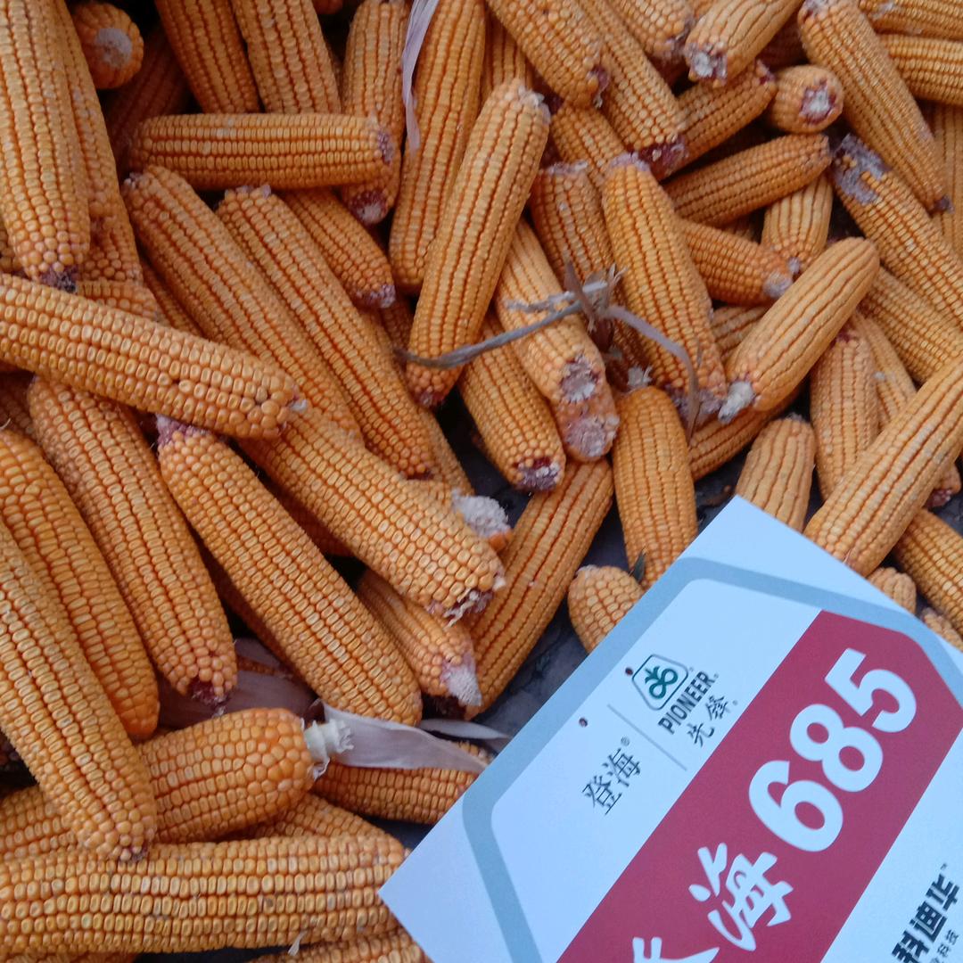 化肥种子农药超市