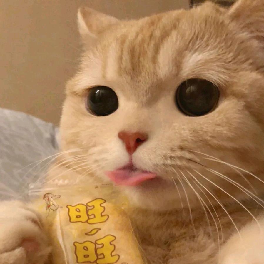 我有春风盈怀