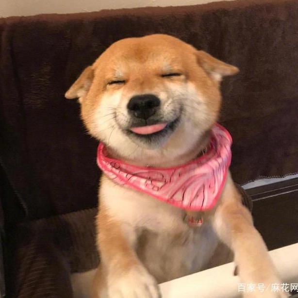 苏苏苏万万万