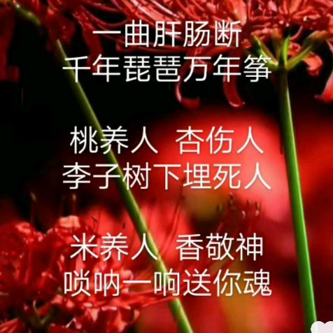 快乐小哥