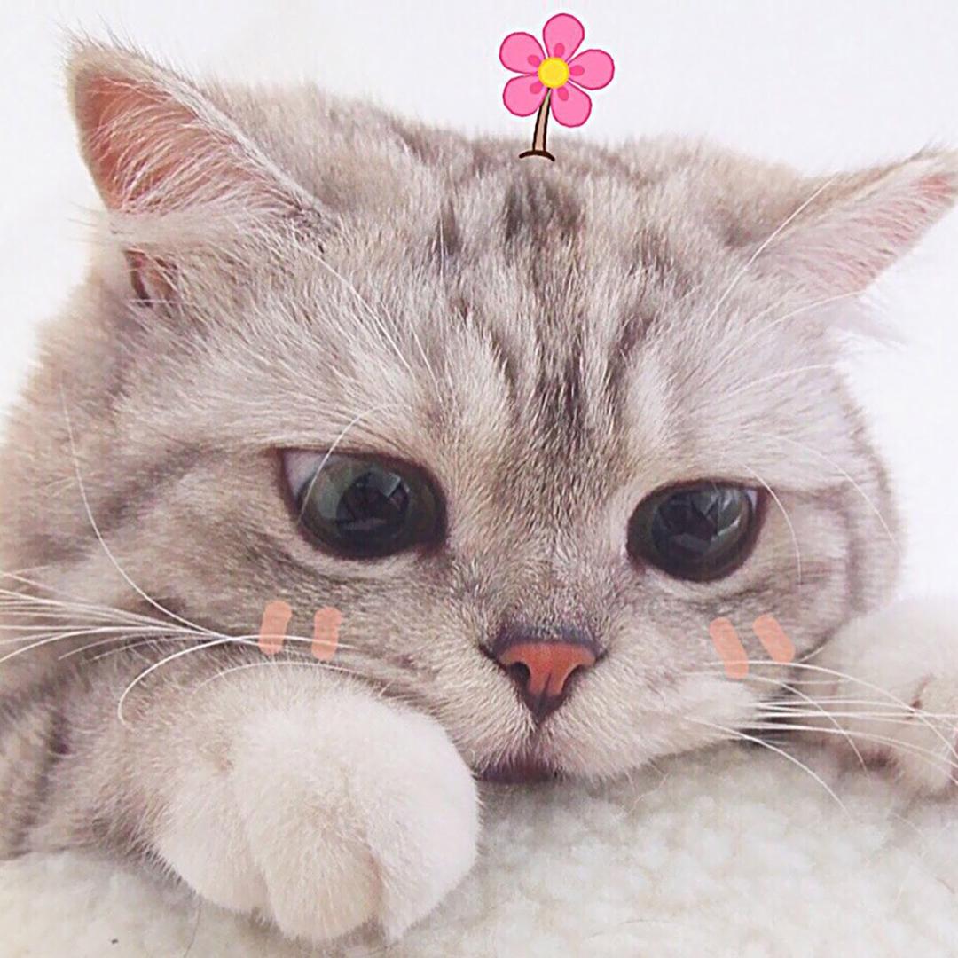 是小太阳呀🌻