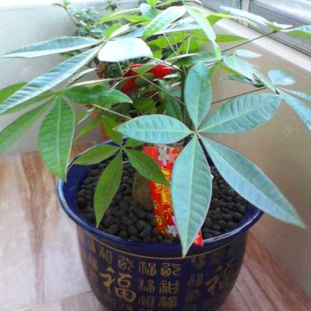 沐沐  @我珍惜你值得@